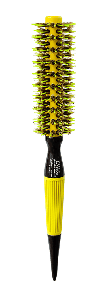 Evas CMS 3001